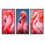 Ensemble de salon mural Theophania - Flamingo-103010686-103010687