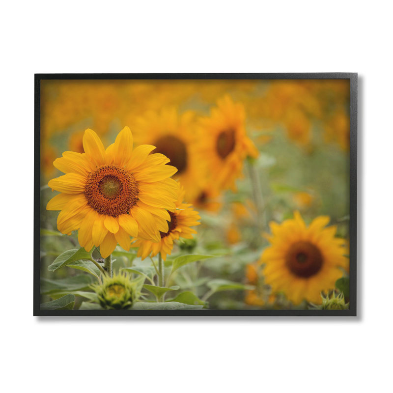 Art de giclée par Lil 'Rue, Giclée encadrée noir minuit, H 11 po x l 14 po x P 1,5 po