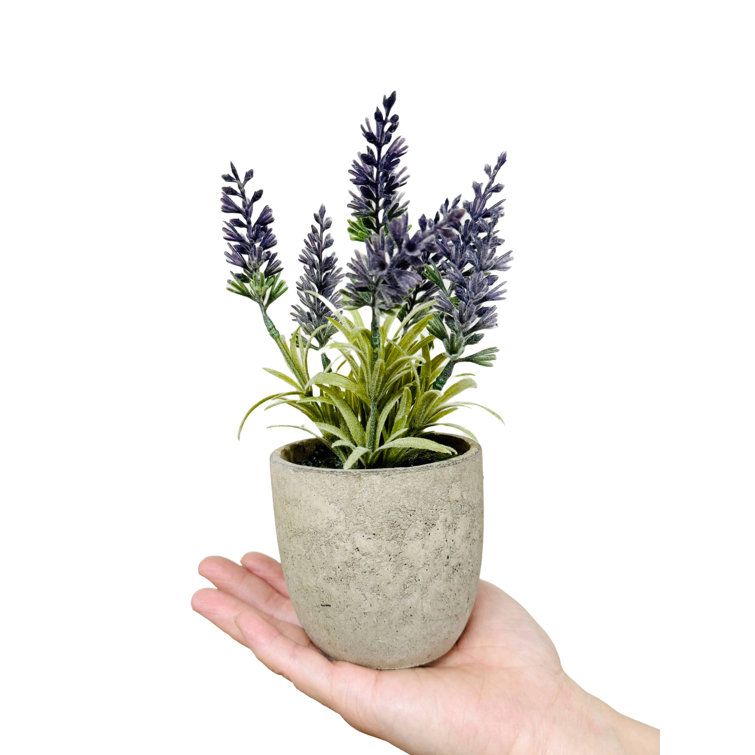 Primrue Lavender Arrangement | Wayfair