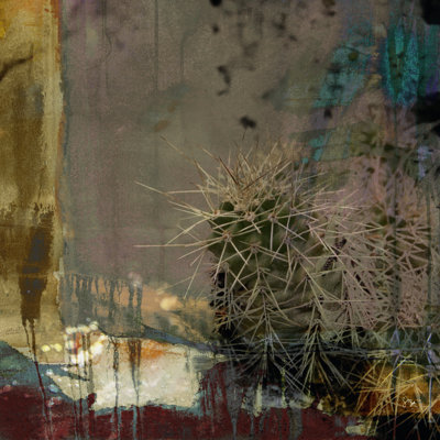 Cactus abstrait