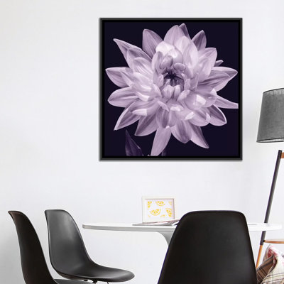 « white dahlia i », impression sur toile