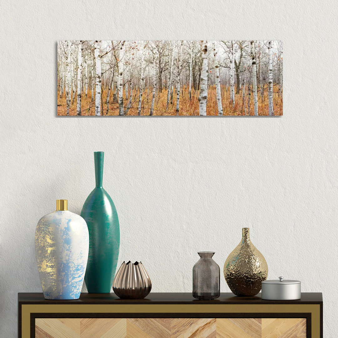 Birch Grove Panoramic by Nik Rave - Panoramic Print on Canvas
