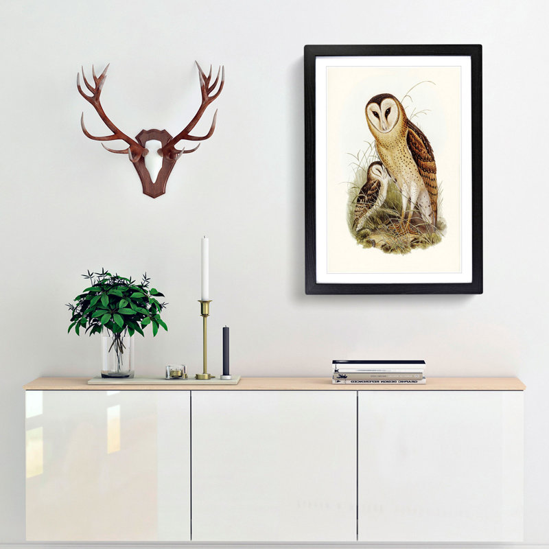 Grass-Owls by Elizabeth Gould - Picture Frame Art Print, 65cm H x 48cm W x 2cm D, Black Framed