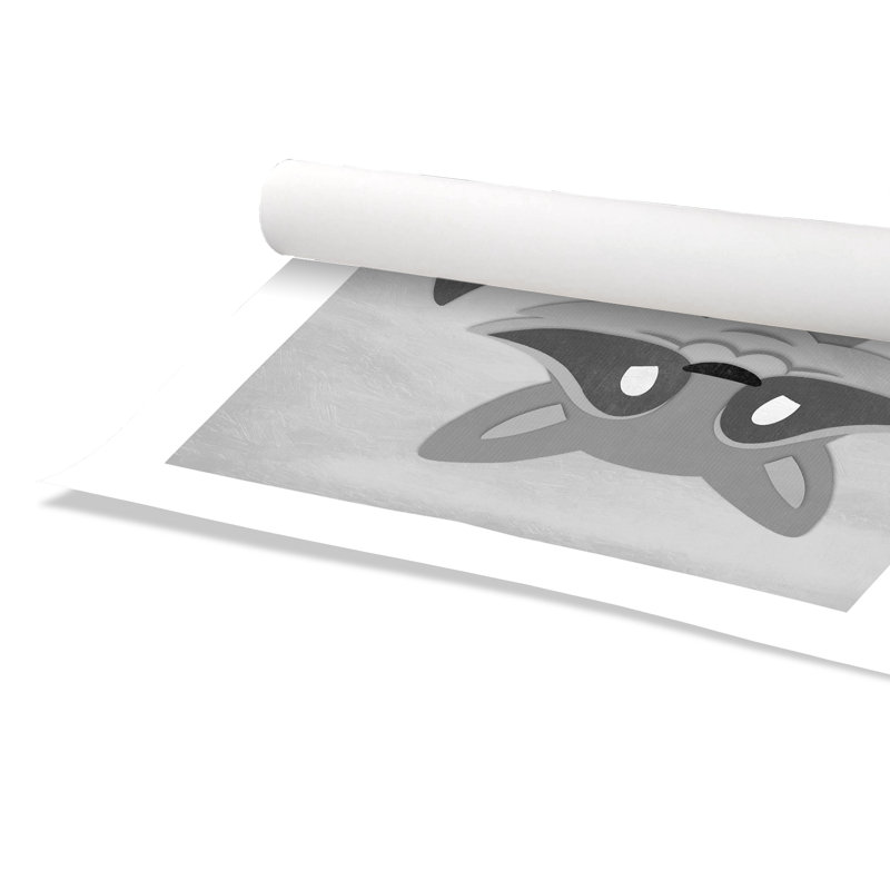 Impression sur papier Cheery Racoon, H 10 po x l 10 po x P 1 po, Papier