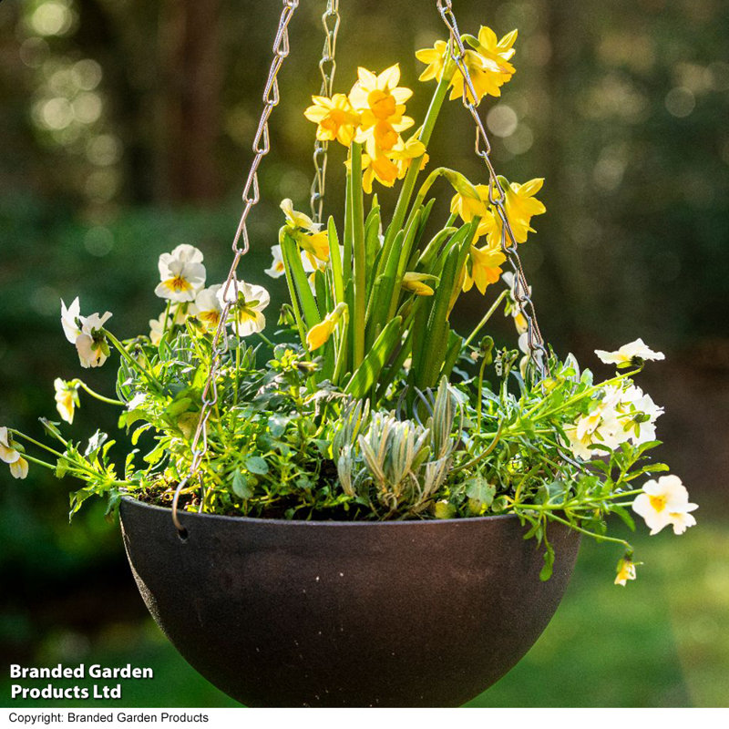 Hanging Planter
