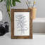 Indigo Botany Study II - impression d'un seul cadre photo-1723059170-1723059195