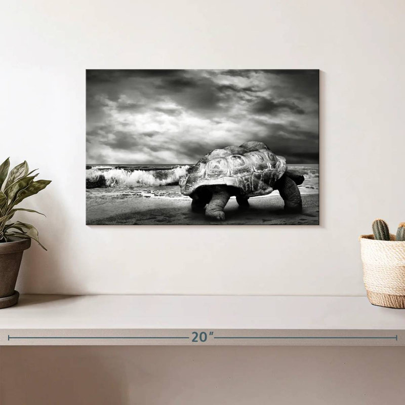 Tortue géante Brampt BW, H 8 po x l 12 po