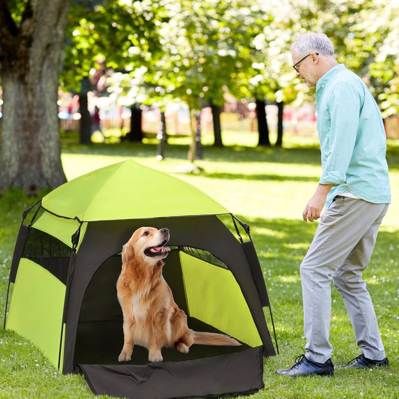 Tente escamotable pour animaux de compagnie pour les chiens de grande taille et supplémentaires, abri de plage portable avec sac de transport - intérieur spacieux, assemblage instantané, construction canines pour chiens de ventilation, installation rapide de sac de camping, météo