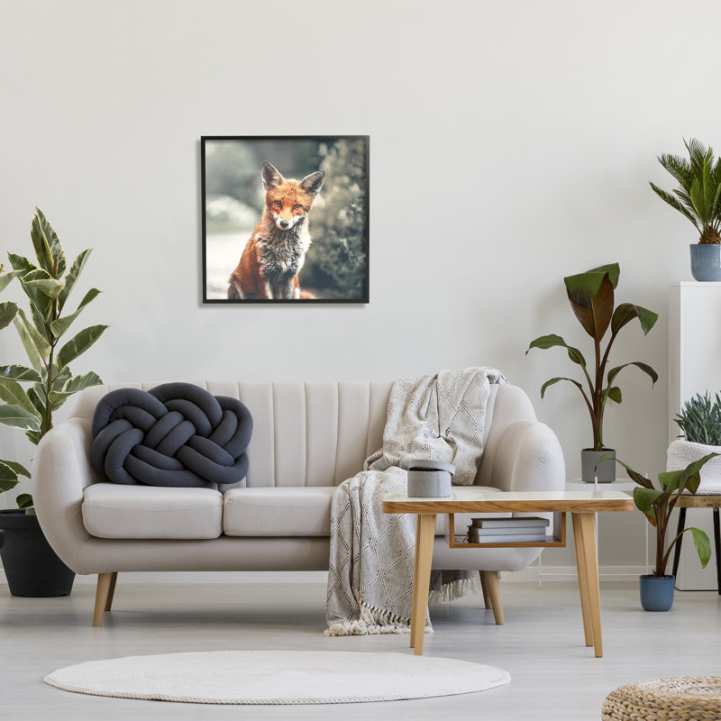 «48_Adorable Woodland Fox», Giclée encadrée noir minuit, H 24 po x l 24 po x P 1,5 po