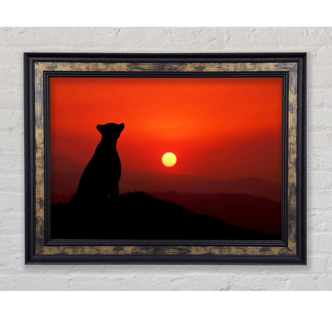 Panther Sunset - Einzelner Bilderrahmen Kunstdrucke