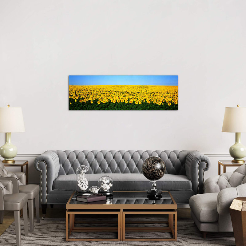 Sunflower FieldNorth Dakota, USA - Wrapped Canvas Panoramic Print, 30.48 cm H x 91.44 cm W x 1.91 cm D