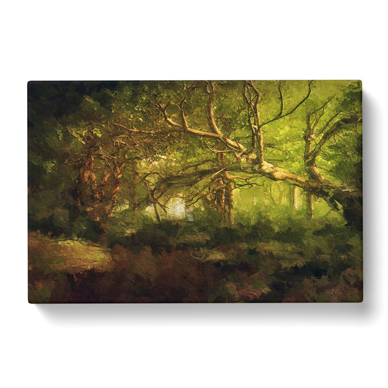 Mystical Forest - Wrapped Canvas Painting, 50cm H x 76cm W x 3cm D