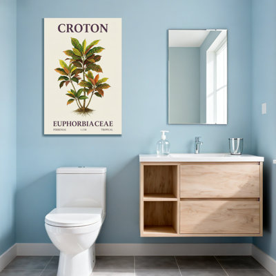Plants &Flowers Croton Plant Illustration With Colorful Leaves
