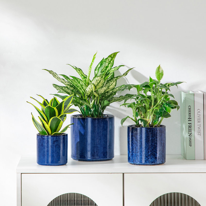 ZTHPOT Ceramic Pot Planter, Blue