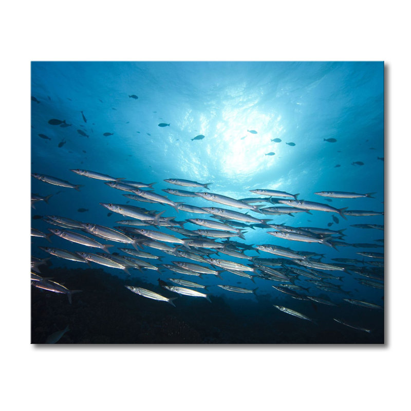 Stretched On Wooden Frame Fotodrucke on Leinwand, 80cm H x 100cm W x 2cm D