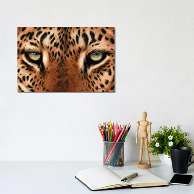 Leopard Eyes by Sarah Stribbling - Print on Canvas