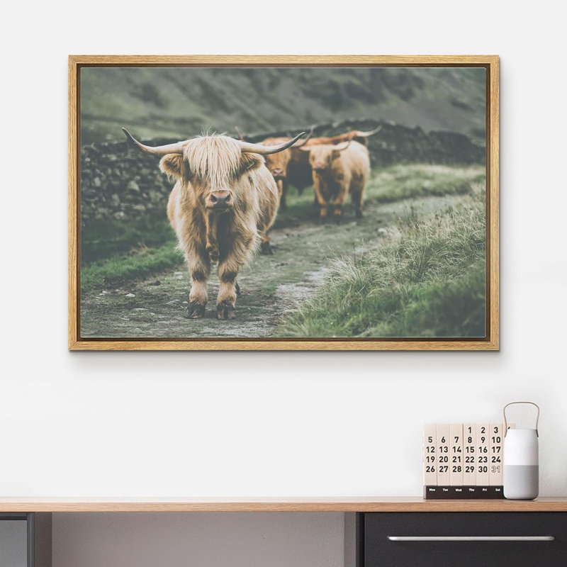 Animaux lavés en Écosse Highland Country Cow, Cadre naturel, H 24 po x l 36 po x P 1,5 po