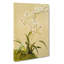 Magnolia Flowers Illustration Tab.41 by Frederick Sander - Wrapped Canvas-55309911