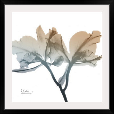 Manigault 'Earthy Orchid by Kiranjit Photographic Print