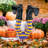 Wicked Witch Crash Landing Legs Garden Stake