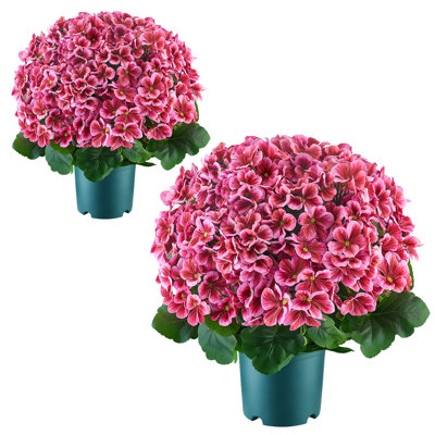 Artificial Potted Geraniums 20 in Fake Flower Plants Deep Pink, for Porch, Patio, Entryway, & Home Decor, Indoor & Outdoor Use, Silk and PE Blooms in Pots, Ready to Display Faux Plants