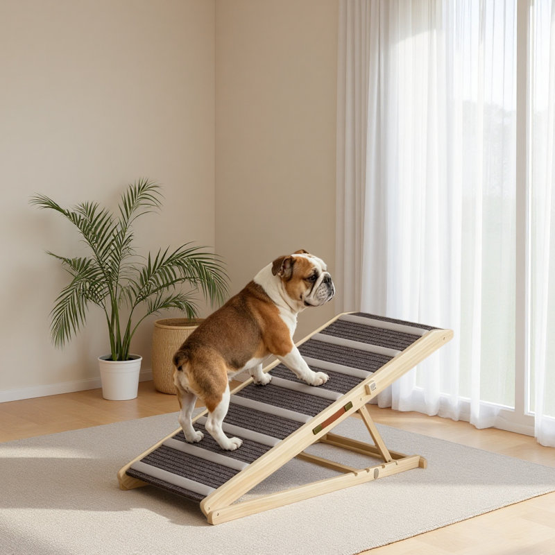 Rampe pliable pour animal de compagnie, rampe pour chat, rampe pour chien