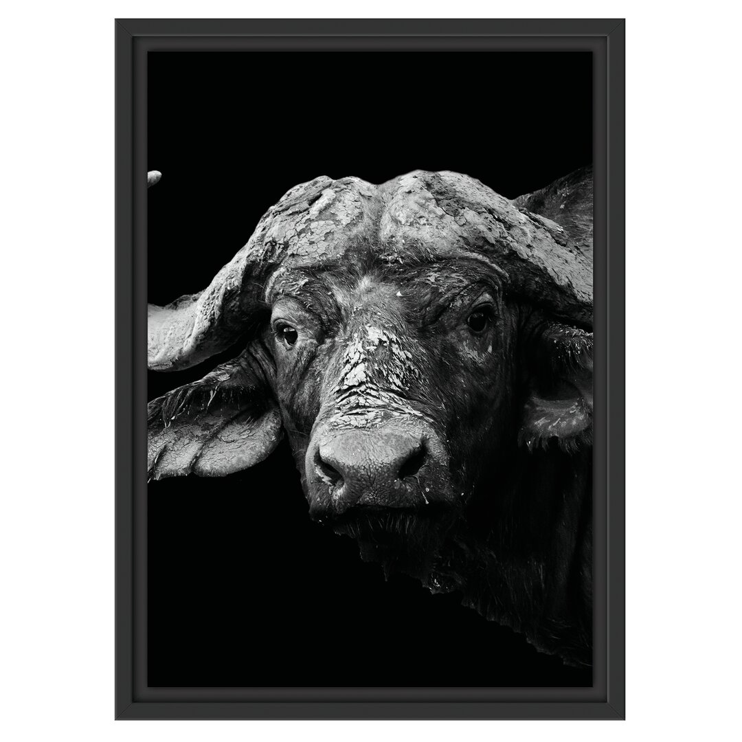 Gerahmtes Poster Dark Water Buffalo