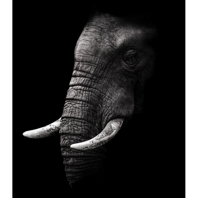 Wrapped Canvas Print, 81.28 cm H x 121.92 cm W