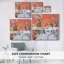 Portraits in Bloom IV-Gallery Wrapped Canvas-537744519