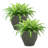 Ailynn Round Imperial Ceramic Outdoor Planter-1857609947-1857609945