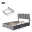Ayvianna Upholstered Storage Bed-2032665487