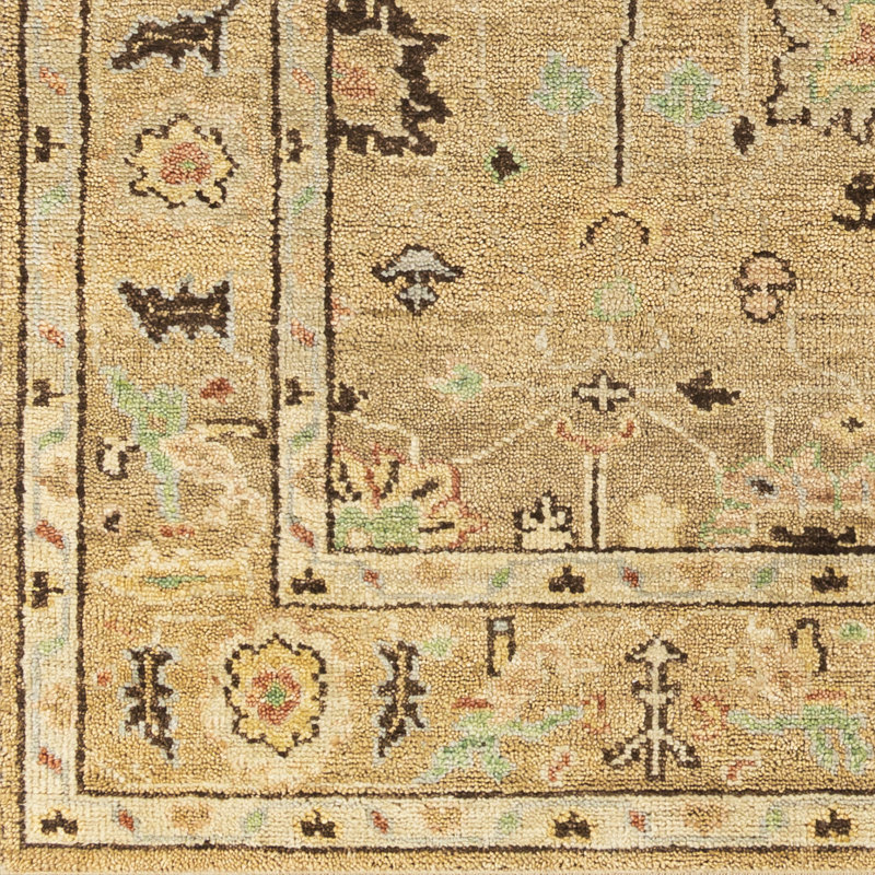 Biscayne Wool Oriental Area Rug, Rectangle 2' x 3'