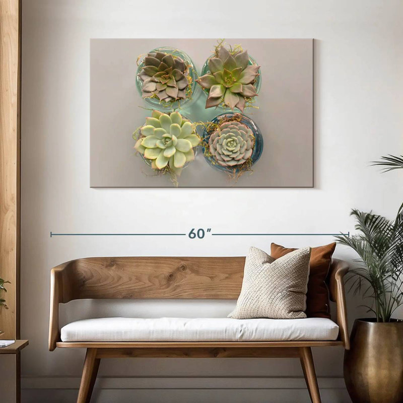 Harnek Succulent Pots