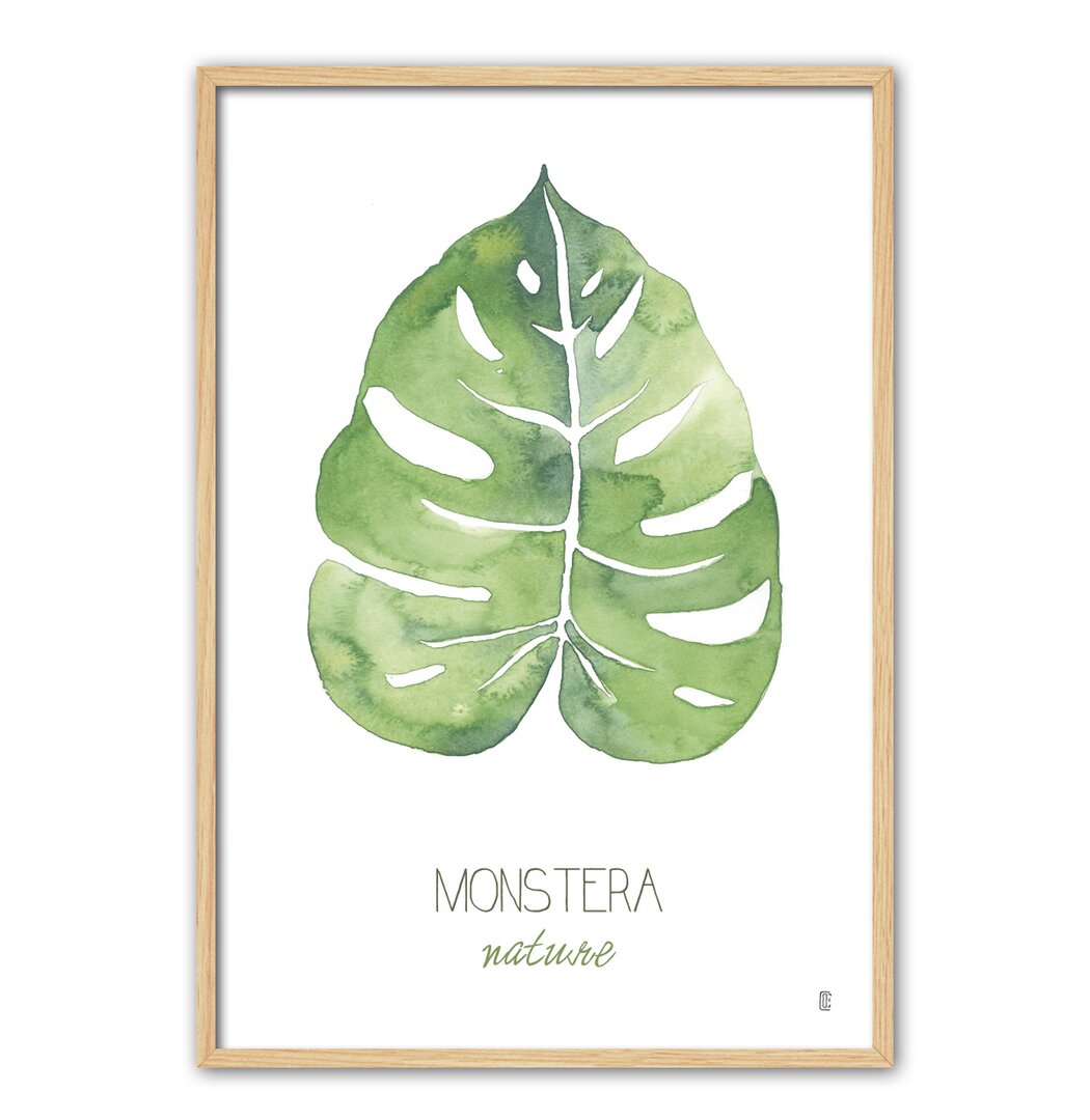 Gerahmtes Poster Nature Monstera von César Ortiz Echagüe