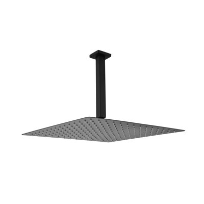 16-Inch Rain Shower Head With Shower Arm