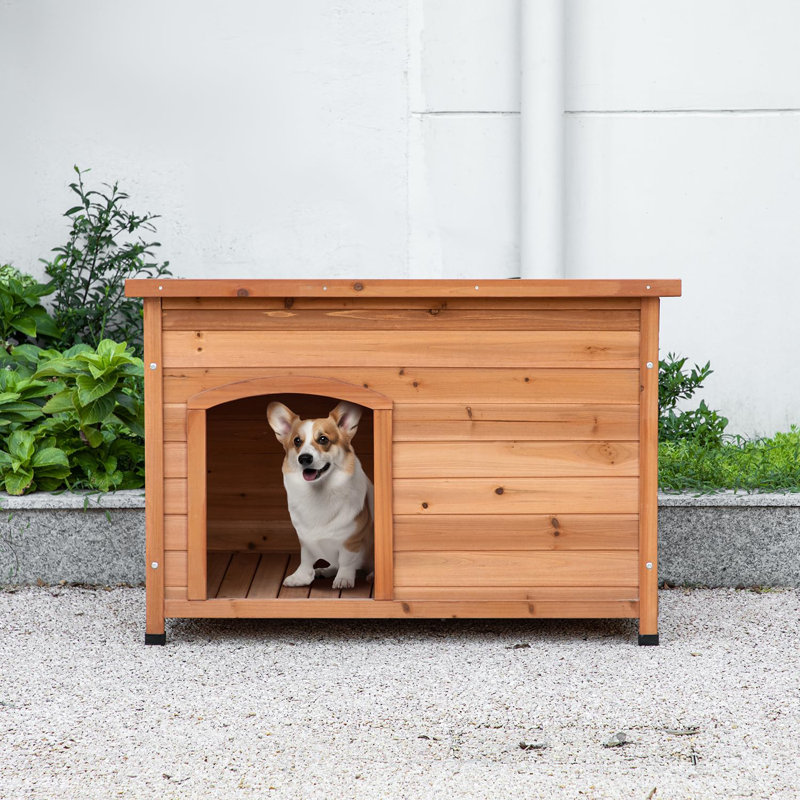 Niche pour chien d'extérieur en bois pour chien de taille moyenne, très imperméable et de taille moyenne