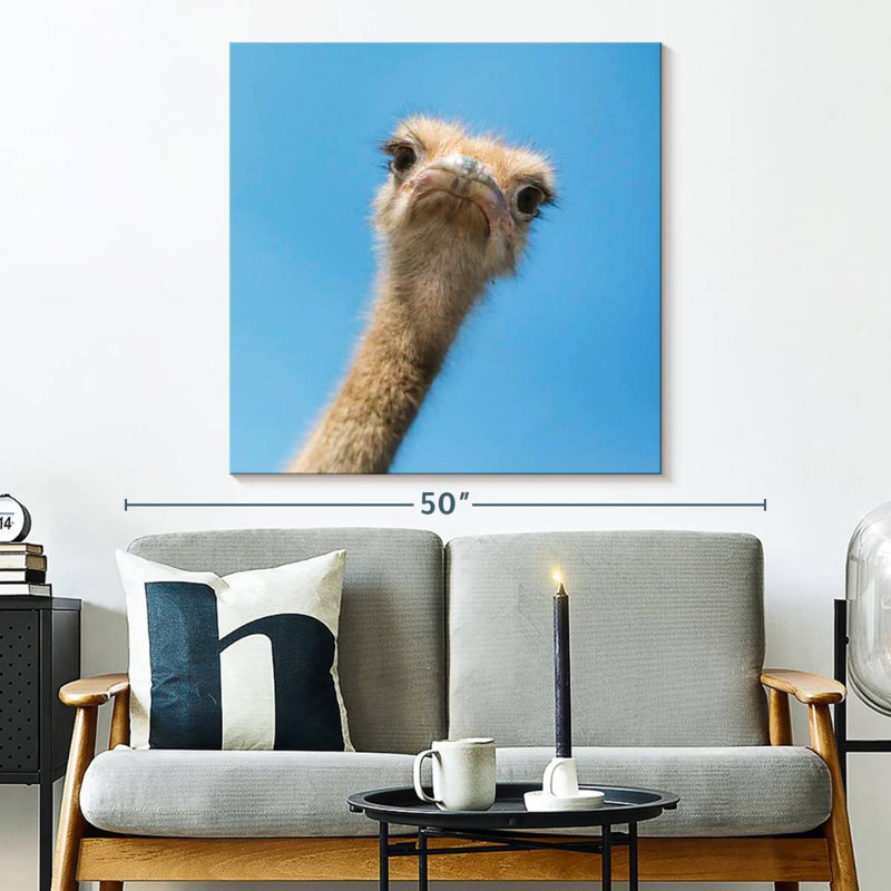 Crowle Curious Ostrich