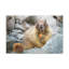 No Frame Print on Canvas-1384215900