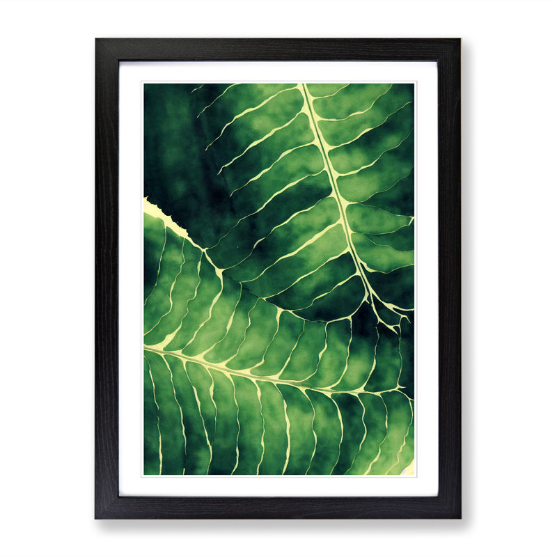 Aagman Fern Leaf In Watercolour Vol.2 - Single Picture Frame Print, Black, 46cm H x 34cm W x 2cm D