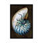«Ocean Treasure IV», impression sur toile-73439665-73439666-73439667