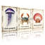 «Jellyfish Crab Shell Sea Life», ensemble de 3 reproductions d'art sur toile-630993619
