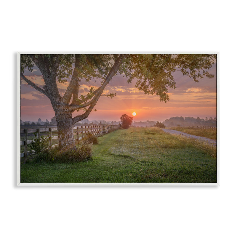 Art audacieux de Giclée par Marty Hulsebos, Estampe numérique encadrée blanc bord de mer, H 12 po x l 18 po