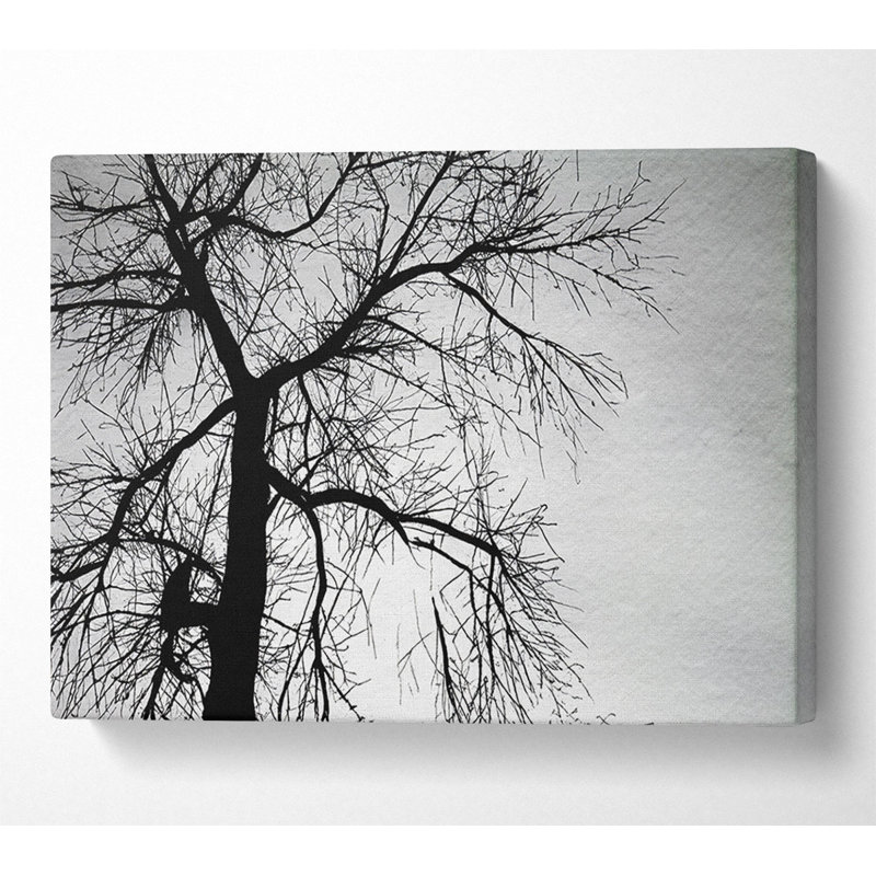 Winter Branches In The Sun B N W - Wrapped Canvas Print, 66cm H x 106.6cm W x 10cm D