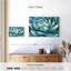 Plante grasse Harnek Cerulean-107888907