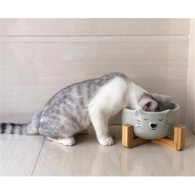 Pet Bowl