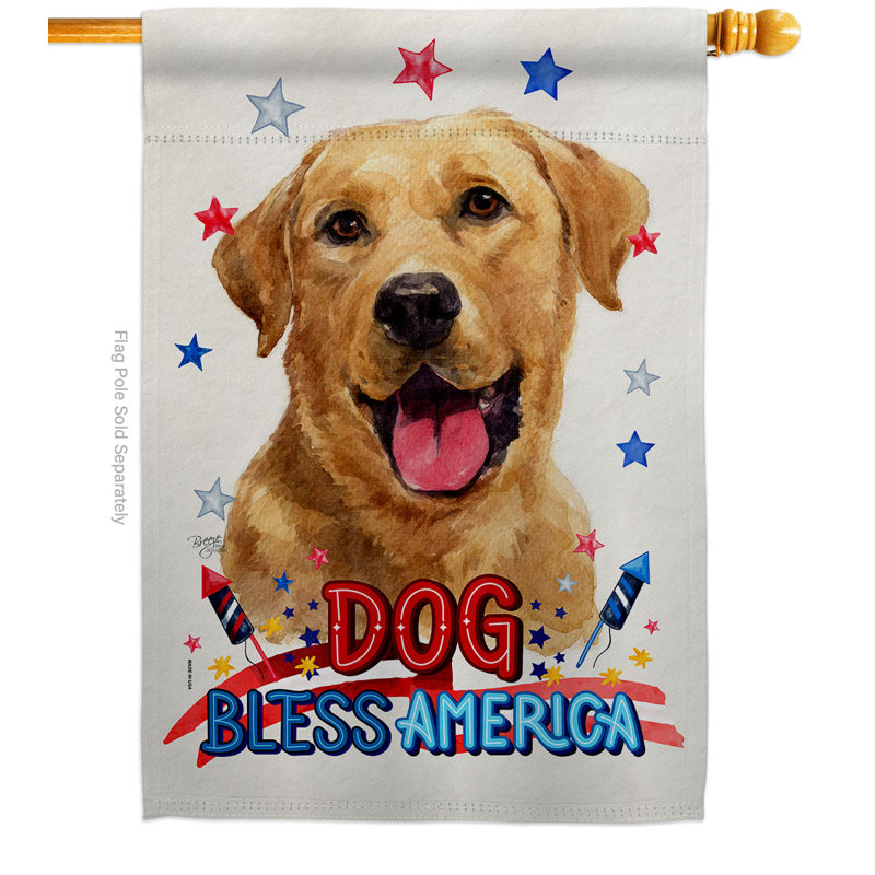 Drapeau de maison patriotique en polyester 3 faces 2 x 2 pi
