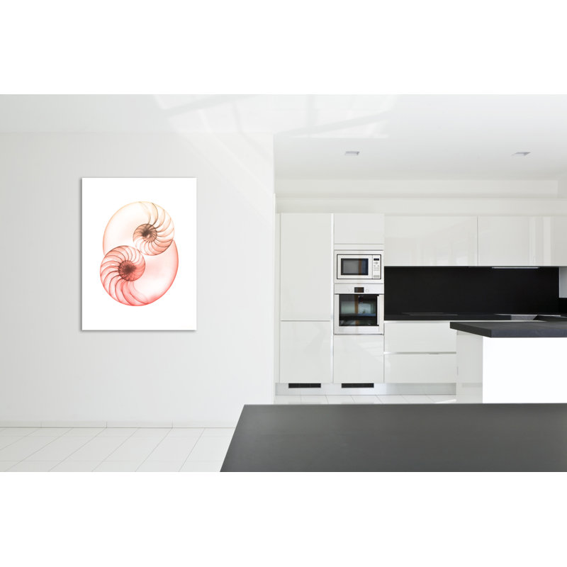 "Sunset Shell 1" par Albert Koetsier, reproduction d’art sur toile, H 20 po x l 15 po x P 1,5 po, Toile tendue