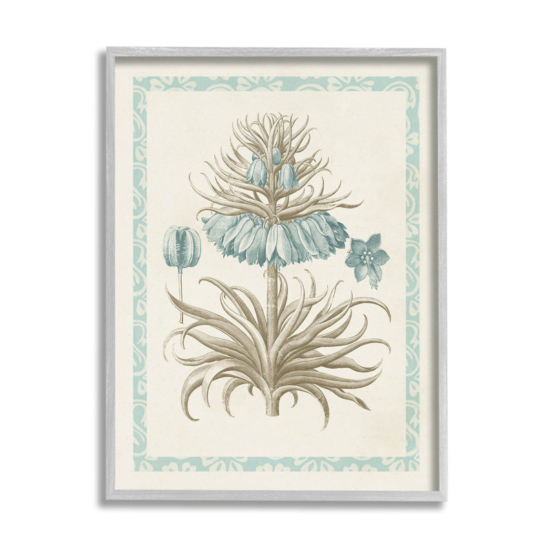 Vintage Botanical Flower Study Print on Canvas with Gray Frame