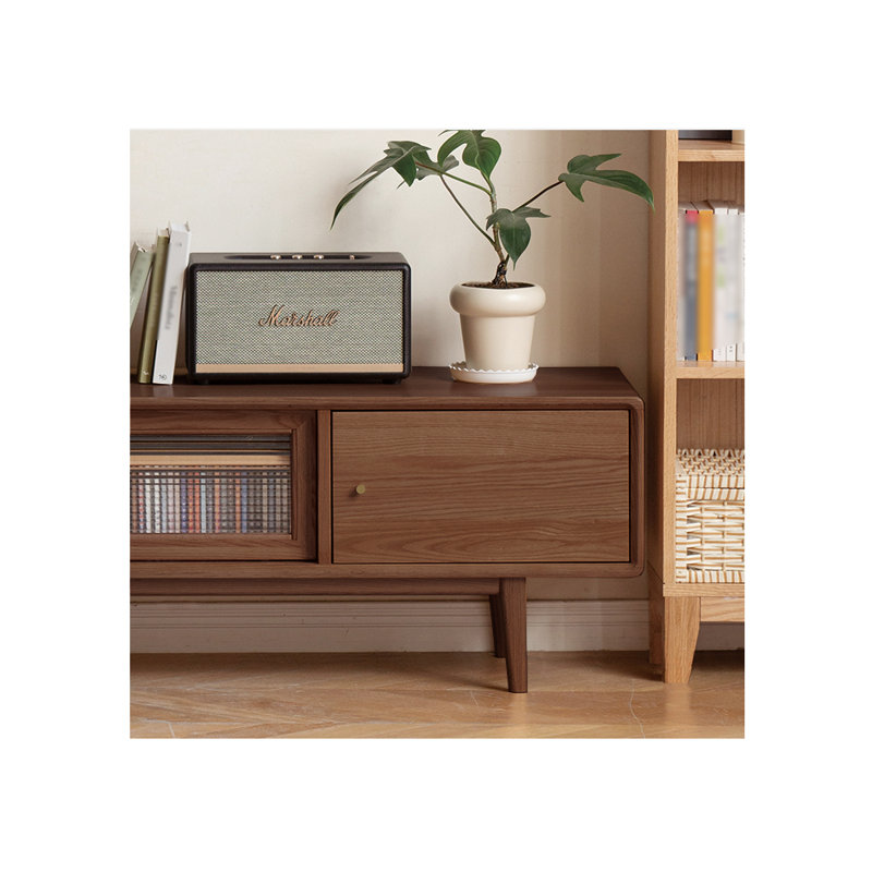 Modern minimalist style TV stand