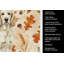 Serviette de cuisine Lemon Belton-2083472841